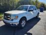 2013 WHITE /Gray Ford F-150 XLT SuperCrew 5.5-ft. Bed 2WD (1FTFW1CF6DF) with an 5.0L V8 engine, 6-Speed Automatic transmission, located at 1221 Madison St., Shelbyville, TN, 37160, (931) 680-9439, 0.000000, 0.000000 - Photo#0